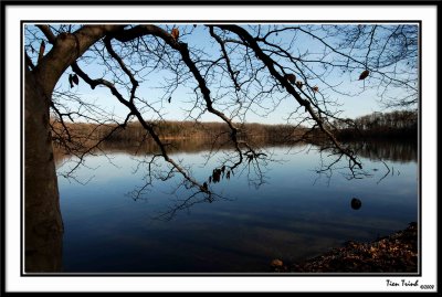 By the Lake