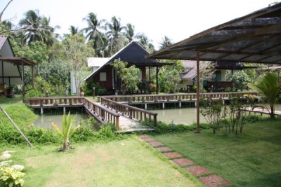Slow Living in Ampawa, Thailand