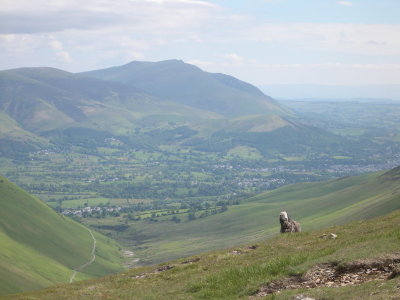 Skiddaw in the distance