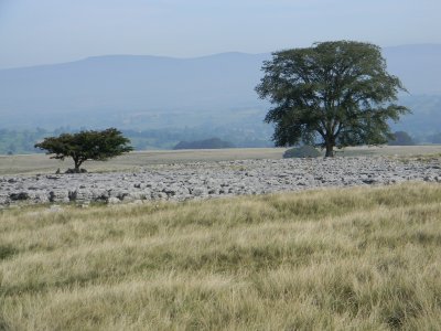 Limestone Country