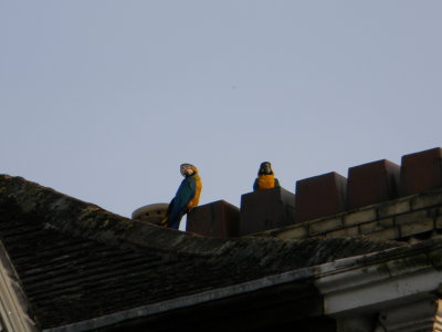 g1/25/824825/3/128932154.3pFYLFgh.jpg