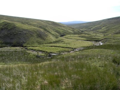 Whitsundale Beck