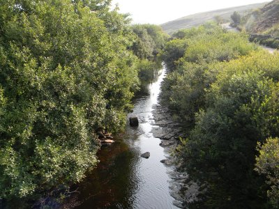 River Swale