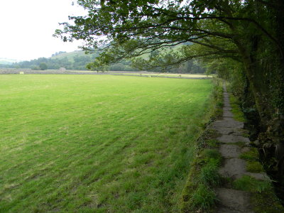 Riverpath to Reeth