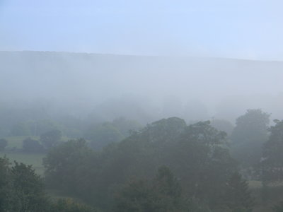 Stolerston Wood