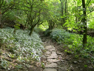 Nunnery Steps