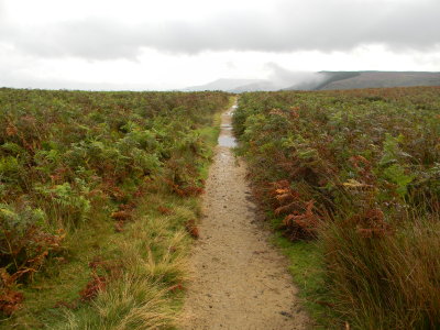 Entering North York Moors