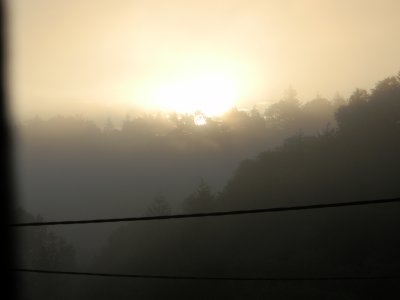 A promising day
