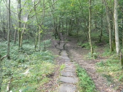 East Arncliffe Wood