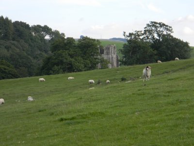 Shap Abbey