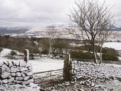 Gate and Tree