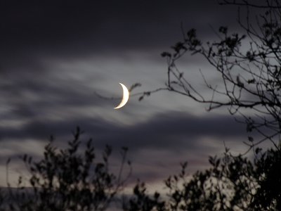 Crescent Moon and Sweeping Clouds