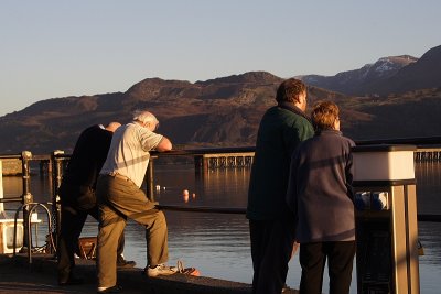 Mawddach Estuary 3.JPG