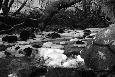 River 1 bw.jpg