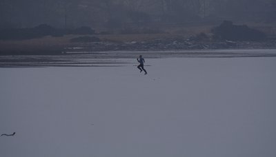 Skating - Best Viewed at Original Size
