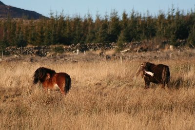 Scratching in Stereo