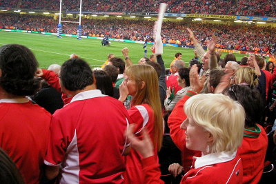 Welsh Supporters.JPG