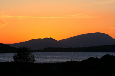 Tree, Lake and Sunset