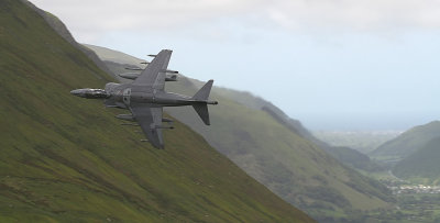 Harrier and Abergynolwyn