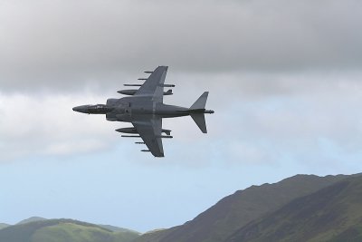 Harrier and Skyline