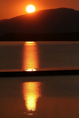 Sunset, Birds and Lake