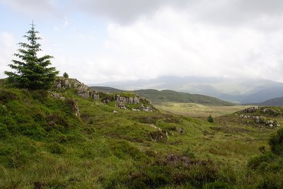 Cwm yr Allt Llwyd 16.JPG