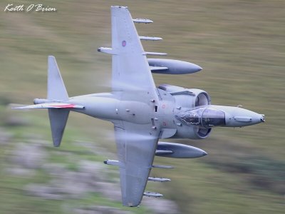 Harrier 2