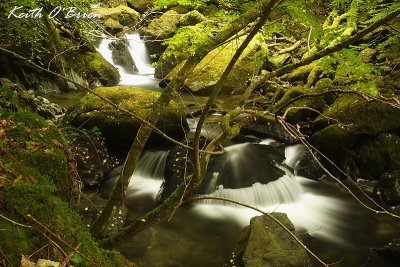 Afon Clywedog 1