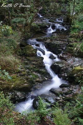 Afon Lâs