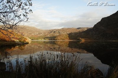 Llyn Cwm Bychan 10.jpg