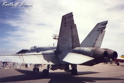 Hornet Rear B.jpg
