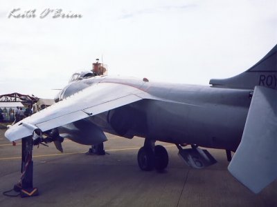 Sea Harrier Rear 1987.jpg
