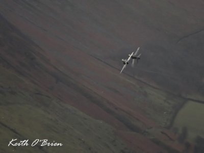 Duelling Hawks