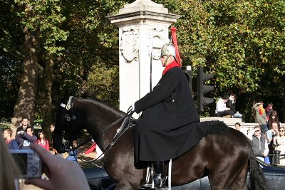 Horse and Guard
