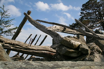 Blaen Cae0006.JPG