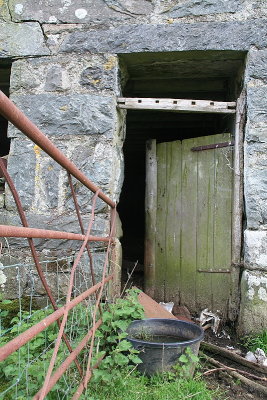 Blaen Cae0009.JPG
