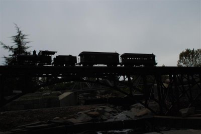 DSC_0013 (Medium).jpg