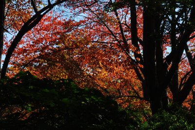 Durand Eastman Park