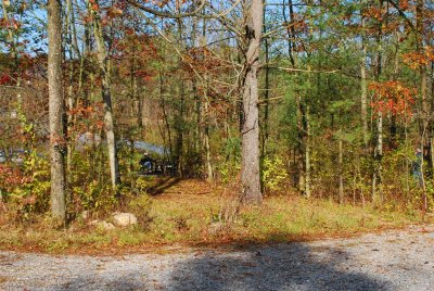 DSC_0084.jpg