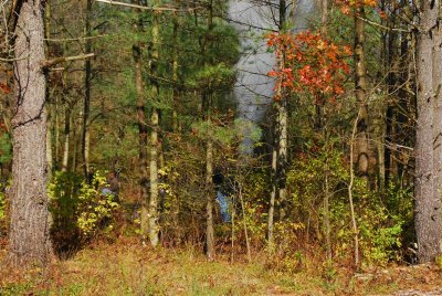 DSC_0105.jpg
