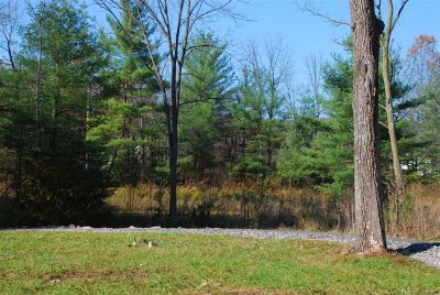 DSC_0153.jpg