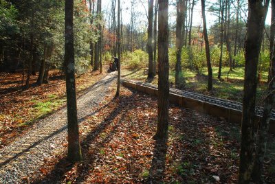 DSC_0194.jpg