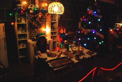 DSC_0011.jpg