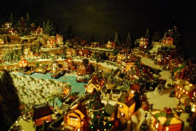 DSC_0021.jpg