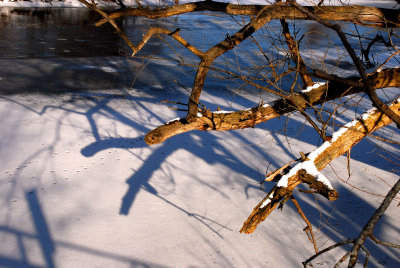 DSC_0022ar.jpg