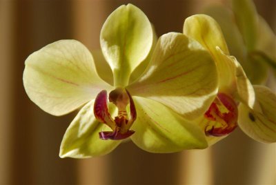 DSC_0098 Medium.jpg