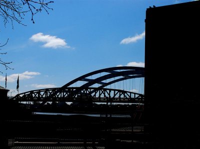 DSC_0098.jpg