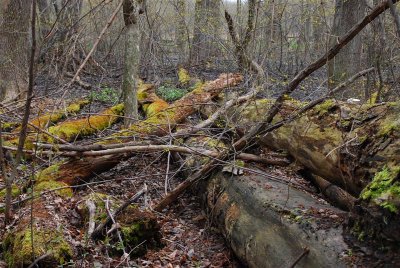 DSC_0014.jpg
