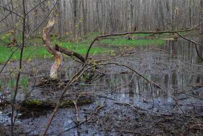 DSC_0023.jpg