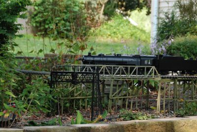 DSC_0108 (Medium).JPG
